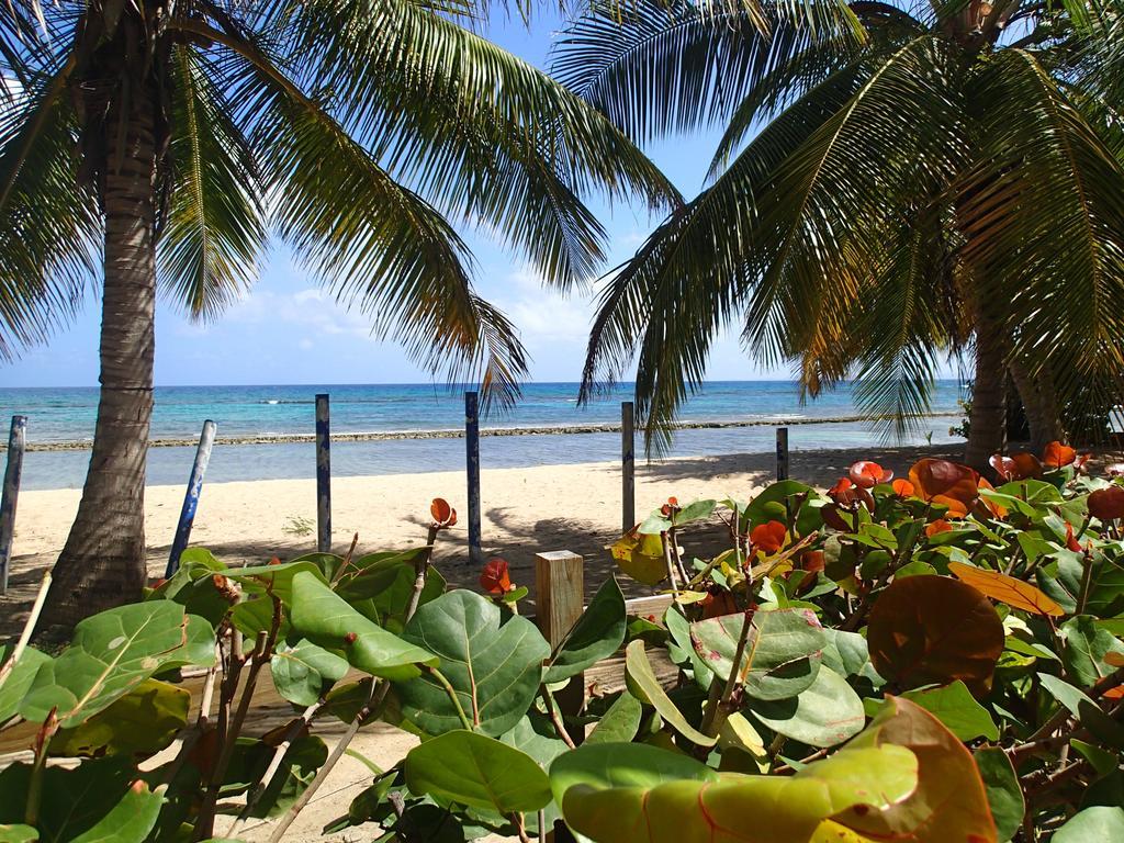 Ababor Suites Guesthouse Vieques Exterior foto